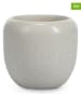 Salt and Pepper 4er-Set: Becher "Mochi" in Beige - 85 ml
