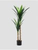 Homla Kunstplant "Tropical Zone" groen/beige - (H)110 cm