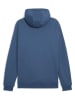Puma Hoodie in Blau