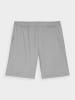 4F Trainingsshorts in Grau