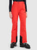 4F Spodnie narciarskie w kolorze czerwonym