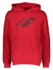 4F Hoodie in Rot