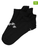 4F 3er-Set: Socken in Schwarz
