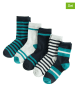 COOL CLUB 5er-Set: Socken in Dunkelblau/ Grau