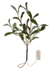 STAR Trading Gałązka jemioły LED w kolorze zielonym - wys. 35 cm