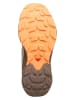SALOMON Trekkingschuhe "Elixir Activ" in Hellbraun