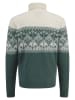 FYNCH-HATTON Wollrollkragenpullover in Grün/ Creme