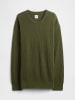 GAP Pullover in Dunkelgrün