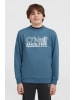 O'Neill Sweatshirt "Essentials" in Blau