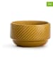 Sagaform Miski (6 szt.) "Coffee & More" w kolorze żółtym - wys. 7 x Ø 12 cm