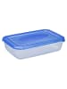 Plast Team Frischhaltedose in Blau - (B)29,3 x (H)7,5 x (T)19,5 cm