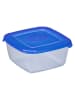 Plast Team Frischhaltedose in Blau - (B)11,4 x (H)5,6 x (T)11,4 cm