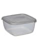 Plast Team Frischhaltedose in Grau - (B)14,5 x (H)7,1 x (T)14,5 cm