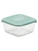 Plast Team Frischhaltedose in Grün - (B)14,5 x (H)7,1 x (T)14,5 cm