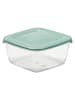 Plast Team Frischhaltedose in Grün - (B)20 x (H)9,9 x (T)20 cm