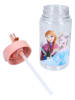 Disney Frozen Drinkfles "Frozen II Drink Up" - 450 ml