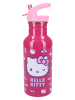 Hello Kitty Trinkflasche "Hello Kitty Take A Sip" - 500ml 