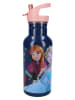 Disney Frozen Drinkfles "Frozen II Take A Sip" - 500 ml