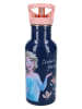 Disney Frozen Trinkflasche "Frozen II Take A Sip" - 500ml