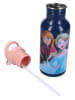 Disney Frozen Bidon "Frozen II Take A Sip" - 500 ml