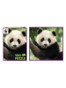 ambassador 100tlg. Puzzle "Panda" - ab 5 Jahren