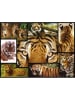 ambassador 1.000-delige puzzel "Tiger" - vanaf 12 jaar