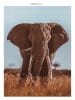 ambassador 3-delige set: puzzel "Wilde dieren" - 3x 1000 delen - vanaf 14 jaar
