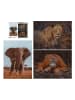 ambassador 3-delige set: puzzel "Wilde dieren" - 3x 1000 delen - vanaf 14 jaar