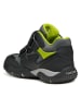 Geox Boots "Baltic" in Schwarz