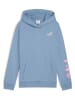 Puma Hoodie lichtblauw