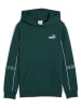 Puma Hoodie petrol