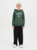 JACK & JONES Junior Hoodie "Ari" groen