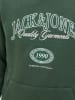 JACK & JONES Junior Hoodie "Ari" groen