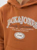 JACK & JONES Junior Hoodie "Ari" oranje