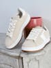 Bellucci Sneakers in Beige/ Weiß