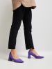Bellucci Pumps in Lila