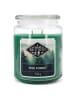Candle Brothers Duftkerze ''Pine Forest'' in Grün - 510 g