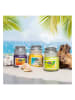 Candle Brothers Świece zapachowe (3 szt.) "Beach Bar" - 3 x 85 g