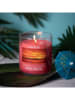Colonial Candle Świeca zapachowa "Island Hibiscus" - 425 g