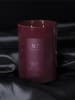 Colonial Candle Duftkerze "Velvet Moss" in Bordeaux, 623 g
