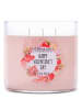 Colonial Candle Duftkerze "Vday Happy Valentines Day" - 411 g