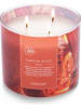 Colonial Candle Duftkerze "Canyon Spice" in Pink - 411 g