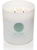 Colonial Candle Świeca zapachowa "Basil And Mint" - 453 g