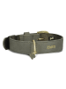 Zwei Halsband in Khaki - (L)50 cm
