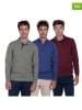 The Time of Bocha 3-delige set: poloshirts grijs/blauw/bordeaux