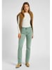 Lee Jeans - Regular fit in Grün