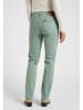 Lee Spijkerbroek - regular fit - groen