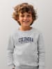 American Universities Sweatshirt "Colombia University" in Grau