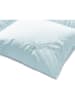 Sanders-Kauffmann 4-seizoensdekbed "Labrador" lichtblauw - (L)220 x (B)155 cm