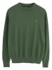 Polo Club Pullover in Grün